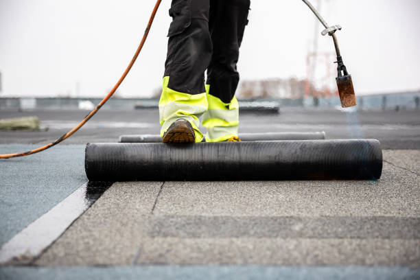 Best Metal Roofing Installation  in Grand Canyon Village, AZ